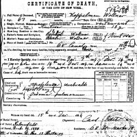 Koppelman Wollner's Death Certificate. 