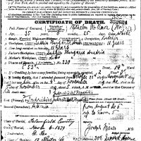 Wilhelm Wollner Death Certificate in 1879. 